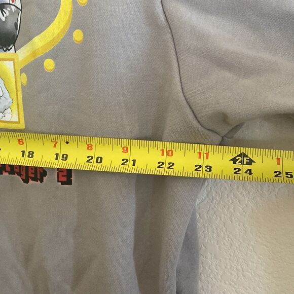 LAS VEGAS INFERNO X IBIS Brand Men’s Gray Collaborative Hoodie Size XL - Picture 7 of 7